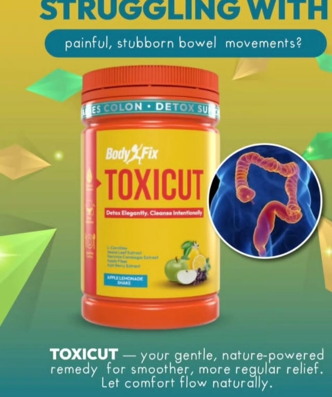 Phyto Body Fix Toxicut Detox And Cleansing Supplement