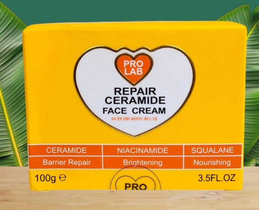 PRO LAB Repair Ceraamide Face Cream 100ml